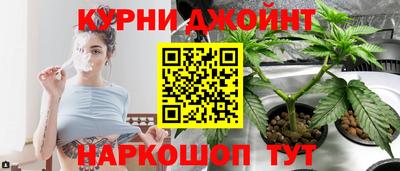 PSILOCYBIN Кинель
